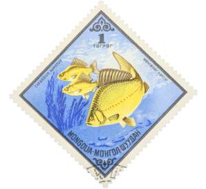 Почтовая марка 30 мунгу 1975 года Монголия «Рыбы — Золотой карась» — Фото №1
