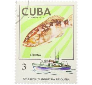 Почтовая марка 3 песо 1975 года Куба «Морская фауна — Групер» — Фото №1
