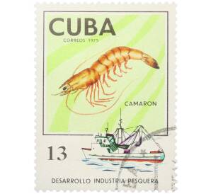 Почтовая марка 13 песо 1975 года Куба «Морская фауна — Креветка» — Фото №1