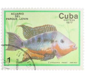 Почтовая марка 1 сентаво 1977 года Куба «Рыбы — Цихлазома Меека» — Фото №1