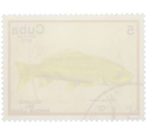 Почтовая марка 5 сентаво 1977 года Куба «Рыбы — Карп» — Фото №2
