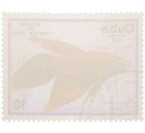 Почтовая марка 10 сентаво 1977 года Куба «Рыбы — Бойцовая рыбка» — Фото №2