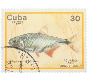 Почтовая марка 30 сентаво 1977 года Куба «Рыбы — Ромбовидная тетра» — Фото №1