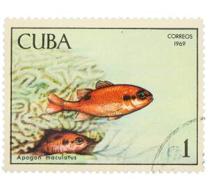 Почтовая марка 1 песо 1969 года Куба «Рыбы — Апогон огненный» — Фото №1