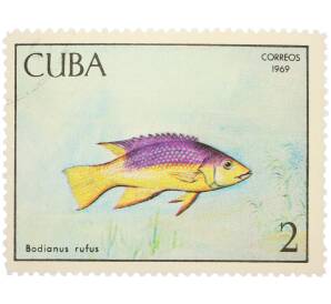 Почтовая марка 2 песо 1969 года Куба «Рыбы — Испанский бодиан» — Фото №1