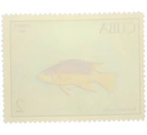 Почтовая марка 2 песо 1969 года Куба «Рыбы — Испанский бодиан» — Фото №2