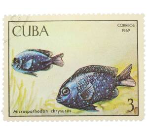 Почтовая марка 3 песо 1969 года Куба «Рыбы — Жёлтохвостый дамселфиш» — Фото №1