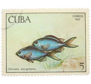 Почтовая марка 5 песо 1969 года Куба «Рыбы — Хромис чёрный белохвостый» — Фото №1