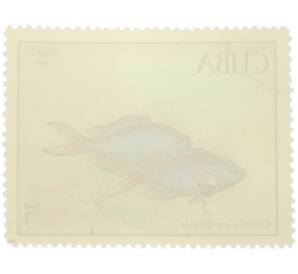 Почтовая марка 5 песо 1969 года Куба «Рыбы — Хромис чёрный белохвостый» — Фото №2