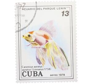 Почтовая марка 13 песо 1978 года Куба «Рыбы — Обыкновенная золотая рыбка» — Фото №1