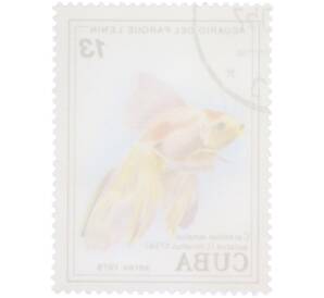 Почтовая марка 13 песо 1978 года Куба «Рыбы — Обыкновенная золотая рыбка» — Фото №2