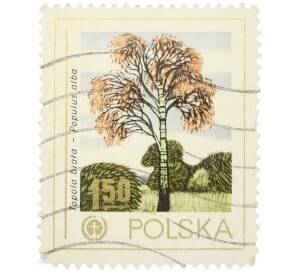 Почтовая марка 1.50 злотых 1978 года Польша «Охрана окружающей среды — Тополь белый (Populus alba)» — Фото №1