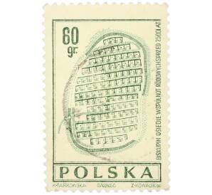 Почтовая марка 60 грошей 1966 года Польша «План городища в Бискупине» — Фото №1