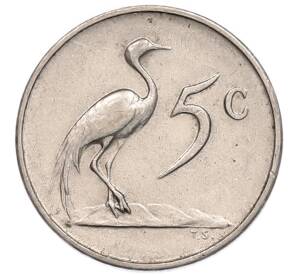 5 центов 1965 года ЮАР — Надпись на английском языке (SOUTH AFRICA) — Фото №1