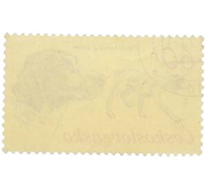 Почтовая марка 60 геллеров 1973 года Чехословакия «Охотничьи собаки — Краткий жесткошерстный пойнтер» — Фото №2