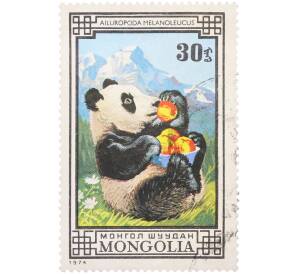 Почтовая марка 30 мунгу 1974 года Монголия «Охраняемые животные — Большая Панда» — Фото №1
