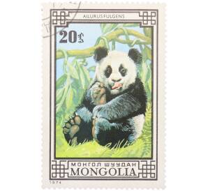 Почтовая марка 20 мунгу 1974 года Монголия «Охраняемые животные — Панда» — Фото №1