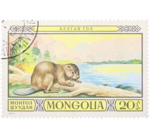 Почтовая марка 20 мунгу 1974 года Монголия «Животные заповедника» — Фото №1