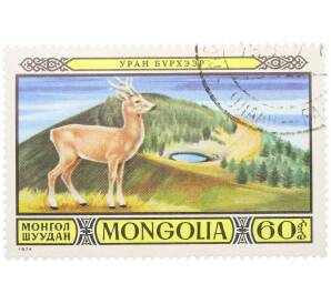 Почтовая марка 60 мунгу 1974 года Монголия «Животные заповедника» — Фото №1