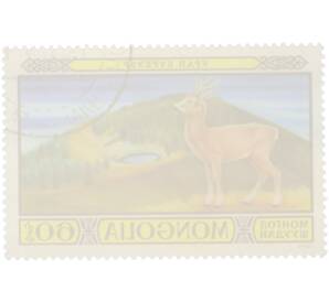 Почтовая марка 60 мунгу 1974 года Монголия «Животные заповедника» — Фото №2