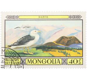 Почтовая марка 40 мунгу 1974 года Монголия «Животные заповедника» — Фото №1