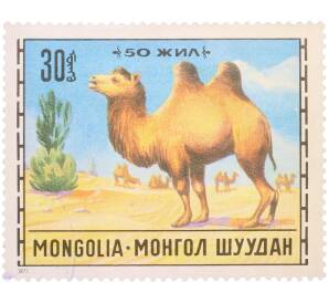 Почтовая марка 30 мунгу 1971 года Монголия «Животноводство — Верблюд» — Фото №1