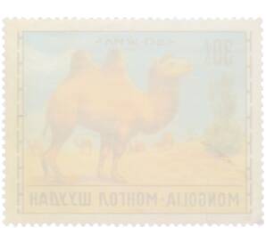 Почтовая марка 30 мунгу 1971 года Монголия «Животноводство — Верблюд» — Фото №2