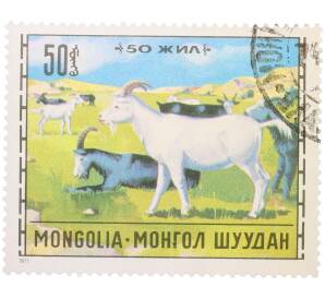 Почтовая марка 50 мунгу 1971 года Монголия «Животноводство — Козы» — Фото №1