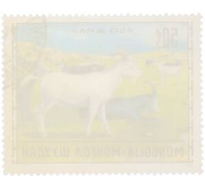 Почтовая марка 50 мунгу 1971 года Монголия «Животноводство — Козы» — Фото №2