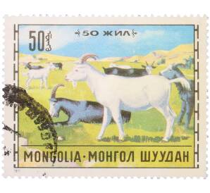 Почтовая марка 50 мунгу 1971 года Монголия «Животноводство — Козы» — Фото №1
