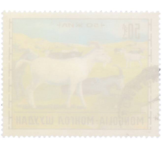 Почтовая марка 50 мунгу 1971 года Монголия «Животноводство — Козы» (Артикул: K12-85034) — Фото №2