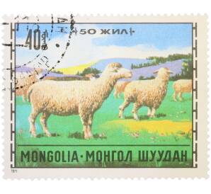 Почтовая марка 40 мунгу 1971 года Монголия «Животноводство — Овцы» — Фото №1