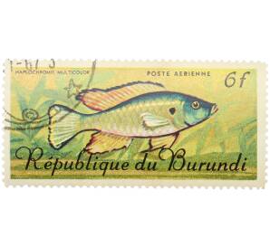 Почтовая марка 6 франков 1967 года Бурунди «Рыбы — Хаплохромис длиннорылый многоцветный» — Фото №1