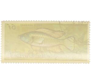 Почтовая марка 6 франков 1967 года Бурунди «Рыбы — Хаплохромис длиннорылый многоцветный» — Фото №2