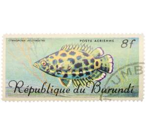 Почтовая марка 8 франков 1967 года Бурунди «Рыбы — Ктенопома леопардовая» — Фото №1