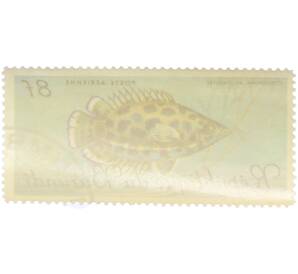 Почтовая марка 8 франков 1967 года Бурунди «Рыбы — Ктенопома леопардовая» — Фото №2