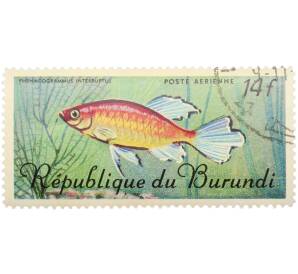 Почтовая марка 14 франков 1967 года Бурунди «Рыбы — Тетра Конго» — Фото №1