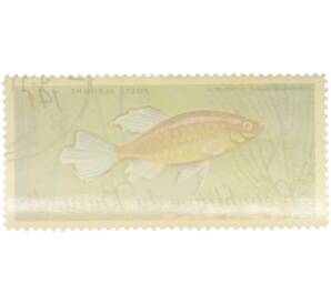 Почтовая марка 14 франков 1967 года Бурунди «Рыбы — Тетра Конго» — Фото №2