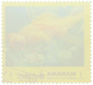 Почтовая марка 1 риал 1971-1972 года ОАЭ (Аджман) «Тропические рыбы» — Фото №2