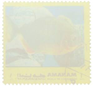 Почтовая марка 1 риал 1971-1972 года ОАЭ (Аджман) «Тропические рыбы» — Фото №2