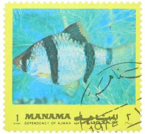 Почтовая марка 1 риал 1971-1972 года ОАЭ (Аджман) «Тропические рыбы» — Фото №1