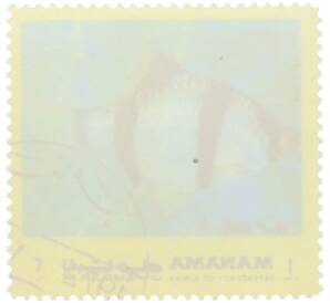 Почтовая марка 1 риал 1971-1972 года ОАЭ (Аджман) «Тропические рыбы» — Фото №2