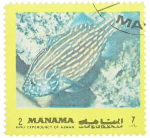 Почтовая марка 2 риала 1971-1972 года ОАЭ (Аджман) «Тропические рыбы» — Фото №1