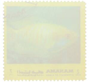 Почтовая марка 2 риала 1971-1972 года ОАЭ (Аджман) «Тропические рыбы» — Фото №2