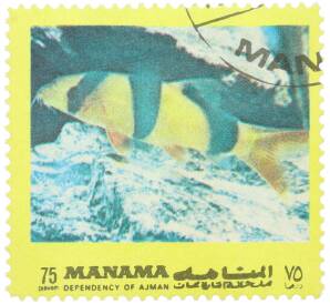 Почтовая марка 75 дирхам 1971-1972 года ОАЭ (Аджман) «Тропические рыбы» — Фото №1