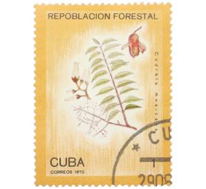 Почтовая марка 1 сентаво 1975 года Куба «Лесовосстановление — Кедр мексиканский (Cedrela mexicana)» — Фото №1