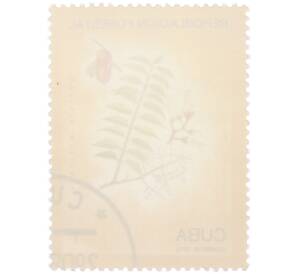 Почтовая марка 1 сентаво 1975 года Куба «Лесовосстановление — Кедр мексиканский (Cedrela mexicana)» — Фото №2