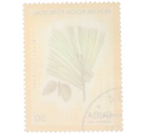 Почтовая марка 30 сентаво 1975 года Куба «Лесовосстановление — Сосна карибская (Pinus caribaea)» — Фото №2