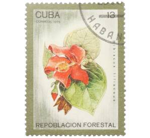 Почтовая марка 13 сентаво 1975 года Куба «Лесовосстановление — Гибискус липовидный (Hibiscus tiliaceus)» — Фото №1