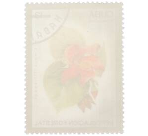 Почтовая марка 13 сентаво 1975 года Куба «Лесовосстановление — Гибискус липовидный (Hibiscus tiliaceus)» — Фото №2